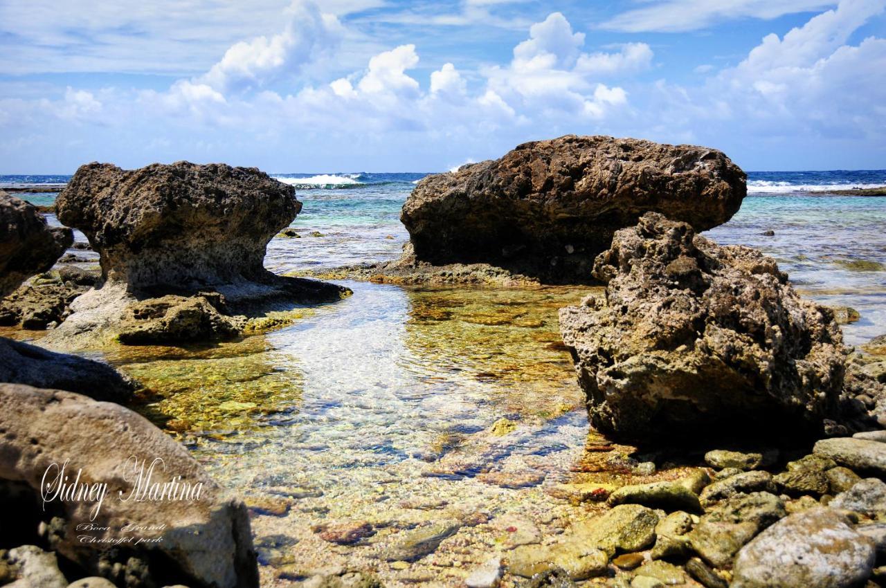 Turquoise B&B Willemstad Dış mekan fotoğraf