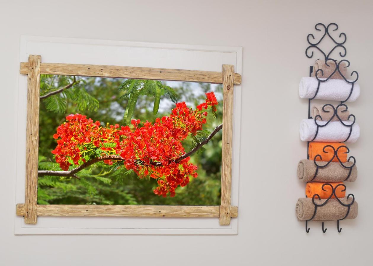 Turquoise B&B Willemstad Dış mekan fotoğraf